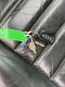 2007 Hummer H2 SUT SUT