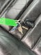 2007 Hummer H2 SUT
