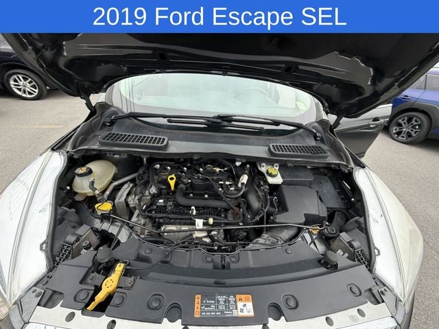 2019 Ford Escape SEL