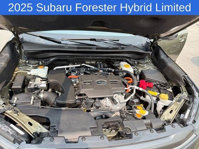 2025 Subaru Forester Hybrid Limited