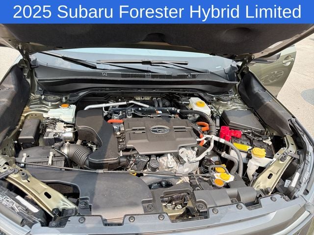 2025 Subaru Forester Hybrid Limited