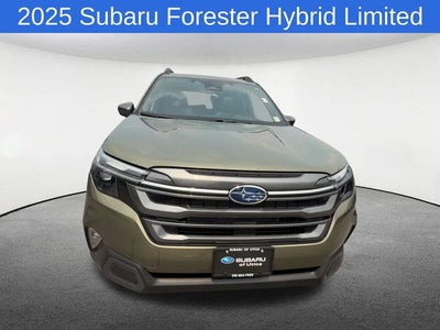 2025 Subaru Forester Hybrid Limited